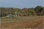 A BAM local train by Chigny. 
17.10.2017