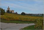 A BAM local train in the vineyard by the Castle of Vufflens.