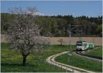 A BAM local train to L'Isle near Apples.