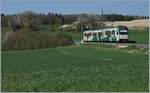 A BAM local train from Bière to Morges by Apples.