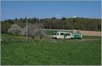 A BAM local train near Apples.