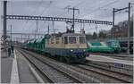 The IRSI Re 4/4 II 11387 (Re 421 387-2) in service by the BAM MBC in Morges with his cargo train from Gland to Apples. In the background are waiting the BAM Ge 4/4 21 and 22. 

04.03.2024