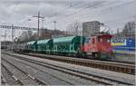 One of the two former SBB Tm III 147 and 155, which are now in service at BAM, is shunting the gravel train in Morges.

March 4, 2024