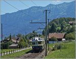 The BLS BCFe 4/8 by Faulensee.
14.08.2016