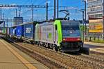 On 15 September 2011 BLS 486 503 hauls the Rotterdam--Mortara Samskip intermodal service through Pratteln.