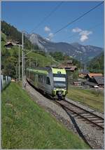 The BLS RABe 535 106 on the way to Bern by Garstatt.