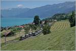 The BLS Re 4/4 501 with his RE on the way to Zweisimmen by Faulensee.