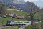 The BLS Re 4/4 501 wiht his RE from Zweismmen to Interlaken Ost by Enge im Simmental.