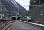 The BLS Re 485 (and a BLS Vectron) with a Cargo Service on the way to Spiez in Goppensstein.