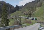 The BLS Re 4/4 II 504 wiht his RE on the way to Zweisimmen by Enge im Simmental. 

14.04.2021