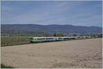 The BLS RBDe 565 739 with his local train from Lyss to Büren an der Aare near Dotzigen. 
16.04.2022