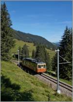 BLM local train between Grütschalp and Winteregg. 28.08.2014
