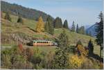 The BLM Be 4/4 23 between Winteregg and Grütschalp. 16.10.2018