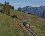 A BLM local train between Grütschalp and Winteregg.