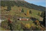 A BLM local train near Winteregg.