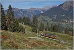 A BLM local service between Grütschalp and Winteregg. 

17.10.2018