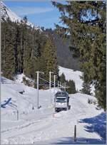 The new BLM railcar Be 4/6 102  Jungfrau  has left Winteregg station and is on its way to Grütschalp.

February 18, 2025