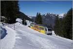 The new BLM railcar Be 4/6 102  Jungfrau  is near the Winteregg on the way form the Grüschalp to Mürren. 

February 18, 2025