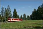 A CJ local Train by le Creux-des-Biches. 
08.10.2010.