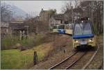 SSIF  Treno Panoramico near Verigo.