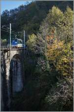 The SSIF  Treno Panoramic Vigezza Vision  between Tronatano and Verigo by the Rio Graglia.