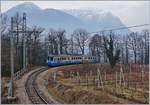 The ferrovia vigezzina SSIF ABe 8/8 22  Ticino  to Re near Trontano.
31.01.2017