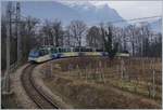 A SSIF Treno Panoramico from Domodossola to Locarno near Trontano.
31.01.2017