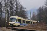 A FART Centovalli Express (CEX) from Locarno to Domodossola near Trontano.