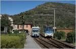 The ABe 4/6 N° 53 and the Treno Panoramico ABe 12/16 (ABe/P/Be/Be) N° 85 Trontano in Intragna.

10.10.2019
