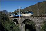 A SSIF Treno Panoramico between Trontano e Verigo on the way to Locarno.