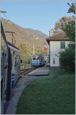 To my great surprise and delight, the SSIF ABe 6/6 33  Sempione,  bound for Domodossola, crosses the SSIF ABe 8/8 21  Roma  in Verigo, which is en route to Locarno.