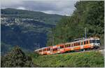 A FLP locla train service to Pont Tresa near Agno.