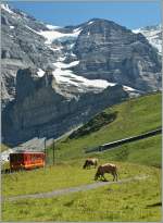 Jungfraubahn-service by the Eigergletscher.