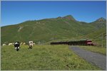 A Jungfraubahn JB Bhe 4/8 over the kleine Scheidegg.