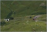 WAB (Wengernalpbahn) and JB (Jungfraubahn) trains over by the Kleine Scheidegg.