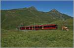 A Jungfraubahn (JB) train between Kleine Scheidegg and Eigergletscher.