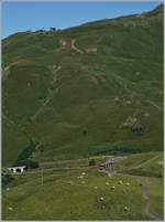 View on the Kleine Scheidegg with WAB und JB trains.

08.08.2016