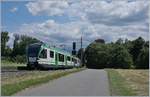 The LEB RBe 4/8 50and Be 4/8 36 by Jouxtens-Mézery on the way to Cheseaux.