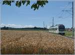 A new LEB Train by Fey on the way to Bercher.

25.07.2020