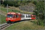The TMR BDe 4/8 21 is on its way from Martigny to Vallorcine and was photographed between Salvan and Les Marécottes.