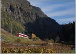 The TMR Region Alpes RABe 525 040 on the way to Martingy in the vineyards near Bovernier.