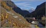 The TMR Region Alpes RABe 525 040 on the way to Le Châble near Bovernier.