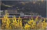 The TMR Region Alpes RABe 525 040 on the way to Le Châble by Bovernier.