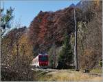 The TMR Region Alps RABe 525 041 (UIC 94 85 7525 041-0 CH-RA) on the way from Orsières to Sembrancher near Sembrancher.