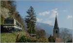 A Rochers de Naye train on the way to the summit by Les Planches (Montreux)   26.