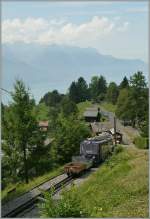 Rochers de Naye train on the way to the summit.