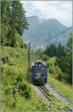 The Beh 4/8 N 302  The Marmot Paradise  by Les Hauts de Caux. 
14.08.2012