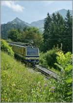 The Rochers de Naye Beh 4/8 304  La Tour de Peilz  on the way to Montreux by Caux.