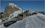 A Rochers de Naye train between Jaman and the summit.