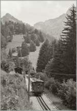 A Old Rochers de Naye locomotive by Hauts-de-Caux.